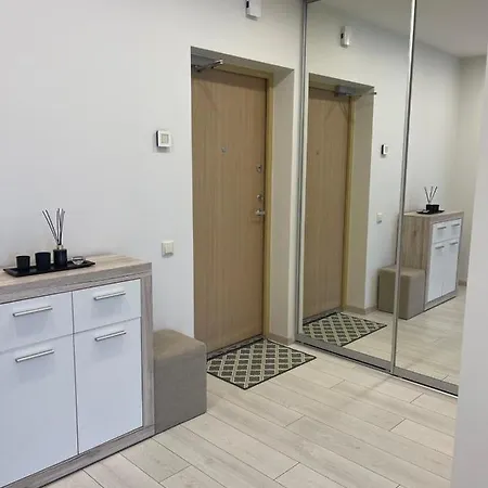 Central Apartment 公寓 维尔纽斯