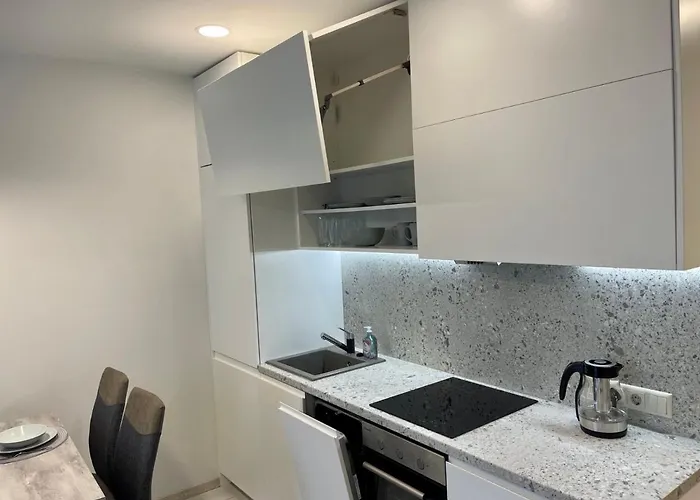 公寓 Central Apartment *